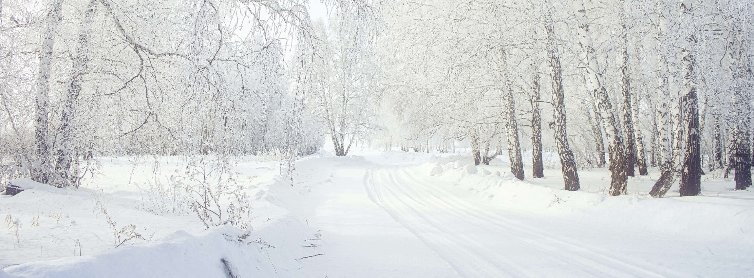 Referenzprojekte Atelier Gamboni